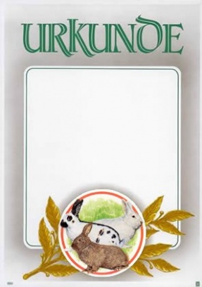 Kaninchen 23