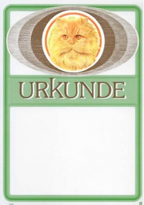 Katzen 21