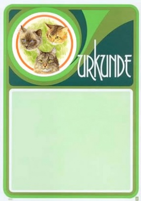 Katzen 22